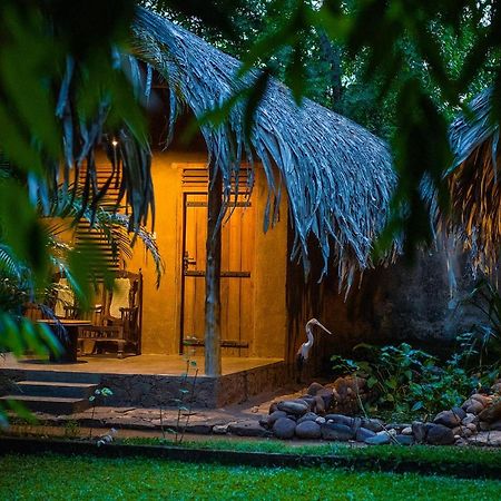 Private Organic House Bed and Breakfast Udawalawe Eksteriør billede