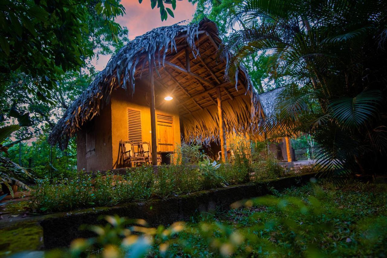 Private Organic House Bed and Breakfast Udawalawe Eksteriør billede